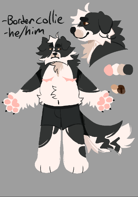 A drawing of a fursona. Text reads, from top to bottom, 'Border collie', 'he/him'